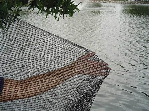 fish nets for ponds